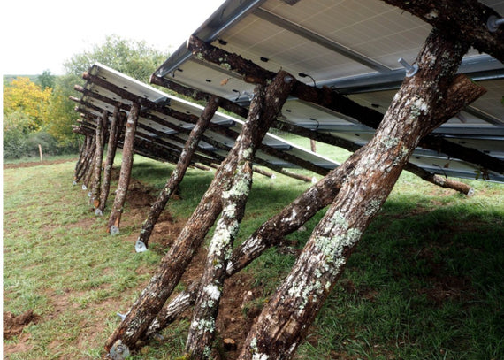 Parc solaire construit sur des structures en bois brut en France